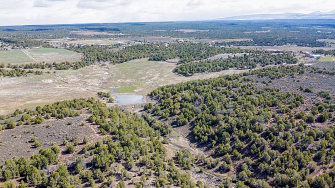 Acreage with Homes