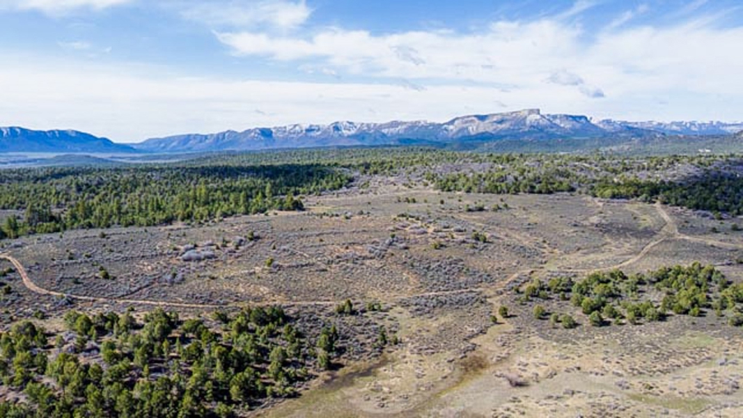 Aerial View of Acreage