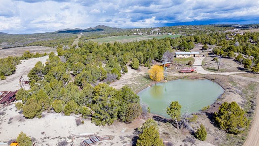 Homestead Aerial View