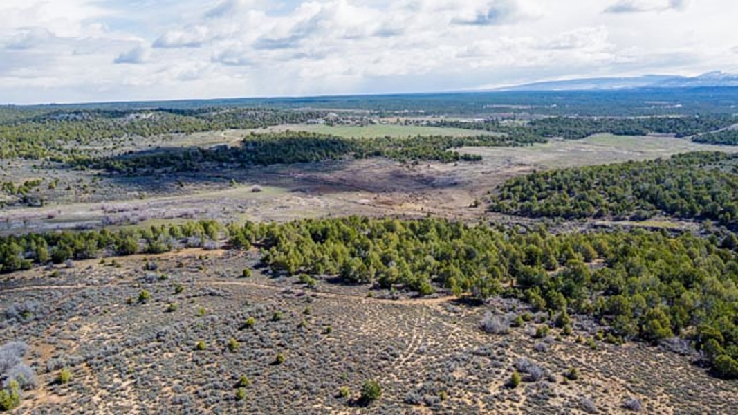 Aerial View of Acreage