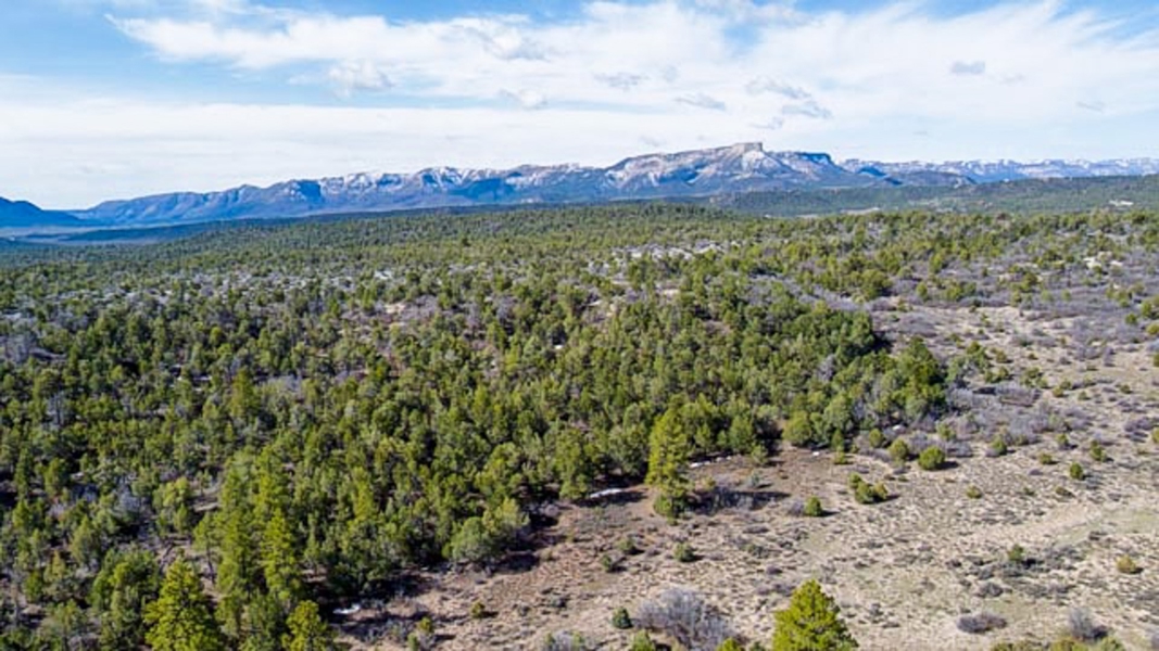 Aerial View of Acreage