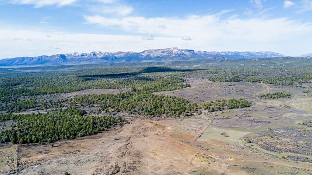 Aerial View of Acreage