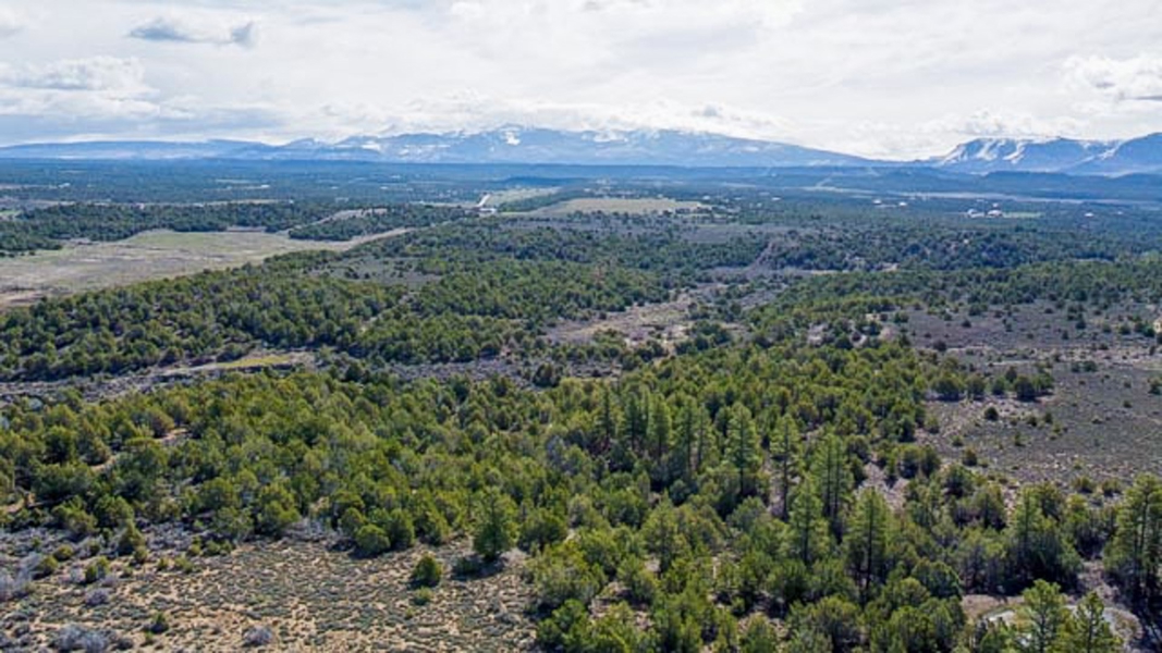 Aerial View of Acreage