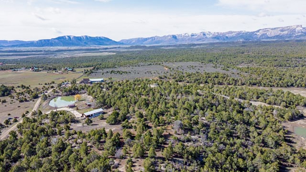Aerial View of Property