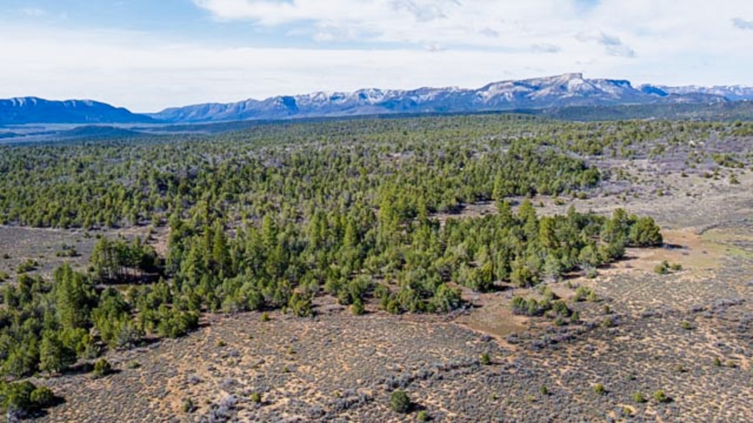 Aerial View of Acreage