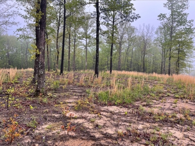 Building Lot for Sale in Franklin County, Tennessee - image 3