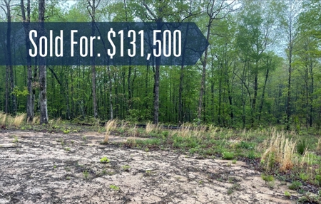 Building Lot for Sale in Franklin County, Tennessee - image 7
