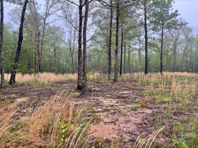 Building Lot for Sale in Franklin County, Tennessee - image 4