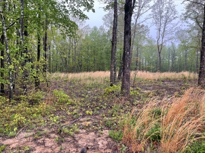 Building Lot for Sale in Franklin County, Tennessee - image 1