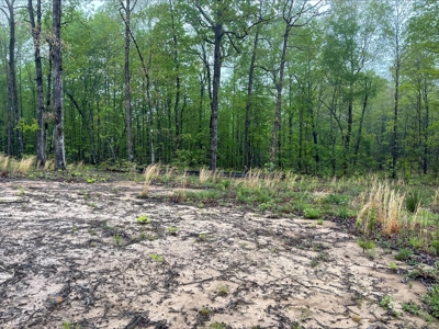 Building Lot for Sale in Franklin County, Tennessee - image 2