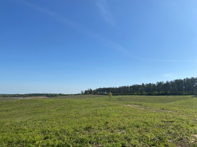 Land For Sale In Tn, 26 Acres+/-, Open Land - image 41