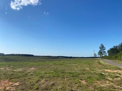 Land For Sale In Tn, 26 Acres+/-, Open Land - image 6