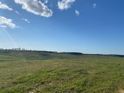 Land For Sale In Tn, 26 Acres+/-, Open Land - image 8