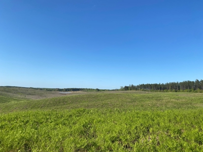 Land For Sale In Tn, 26 Acres+/-, Open Land - image 16