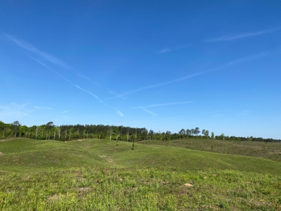Land For Sale In Tn, 26 Acres+/-, Open Land - image 34