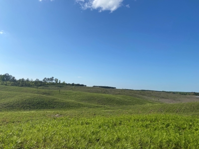 Land For Sale In Tn, 26 Acres+/-, Open Land - image 17