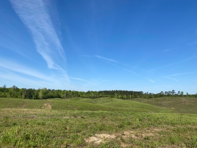 Land For Sale In Tn, 26 Acres+/-, Open Land - image 24