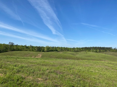 Land For Sale In Tn, 26 Acres+/-, Open Land - image 27