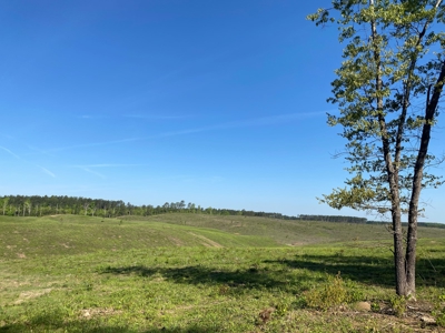 Land For Sale In Tn, 26 Acres+/-, Open Land - image 21
