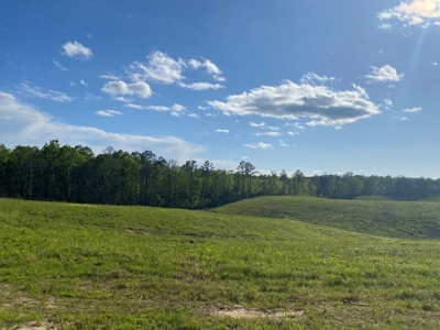 Land For Sale In Tn, 26 Acres+/-, Open Land - image 7