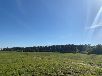 Land For Sale In Tn, 26 Acres+/-, Open Land - image 40