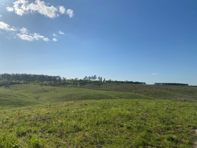 Land For Sale In Tn, 26 Acres+/-, Open Land - image 18