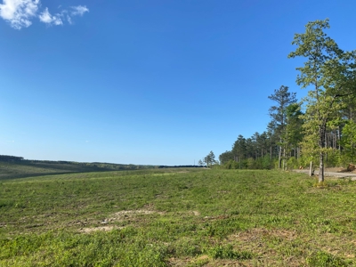 Land For Sale In Tn, 26 Acres+/-, Open Land - image 9