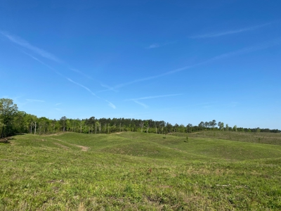Land For Sale In Tn, 26 Acres+/-, Open Land - image 32