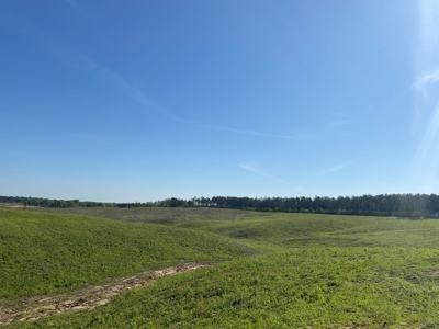 Land For Sale In Tn, 26 Acres+/-, Open Land - image 38