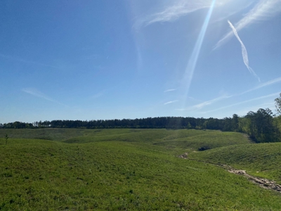 Land For Sale In Tn, 26 Acres+/-, Open Land - image 37