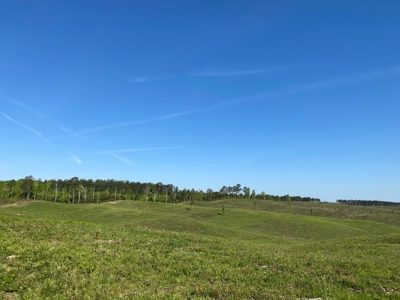 Land For Sale In Tn, 26 Acres+/-, Open Land - image 30
