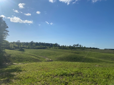 Land For Sale In Tn, 26 Acres+/-, Open Land - image 14