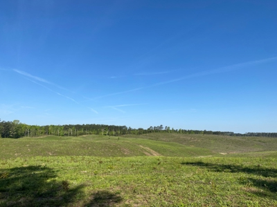 Land For Sale In Tn, 26 Acres+/-, Open Land - image 22
