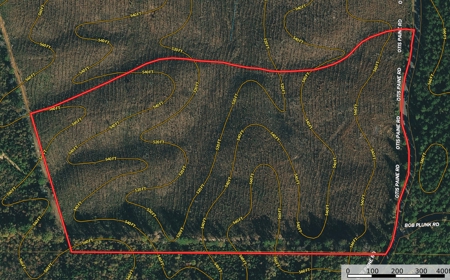Land For Sale In Tn, 26 Acres+/-, Open Land - image 42