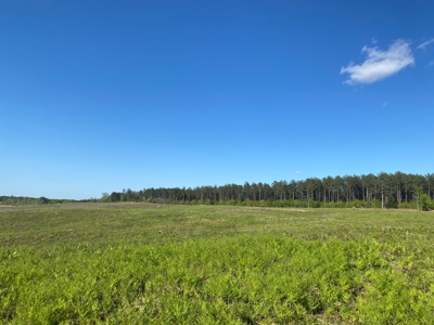 Land For Sale In Tn, 26 Acres+/-, Open Land - image 15