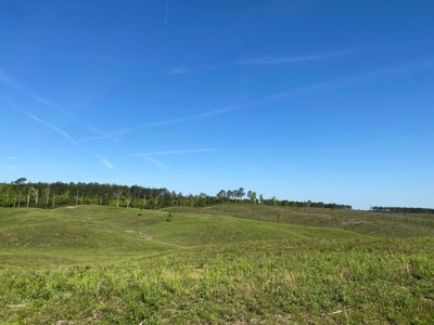Land For Sale In Tn, 26 Acres+/-, Open Land - image 33