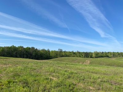 Land For Sale In Tn, 26 Acres+/-, Open Land - image 28