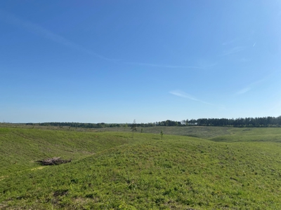 Land For Sale In Tn, 26 Acres+/-, Open Land - image 36