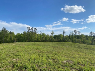 Land For Sale In Tn, 26 Acres+/-, Open Land - image 20