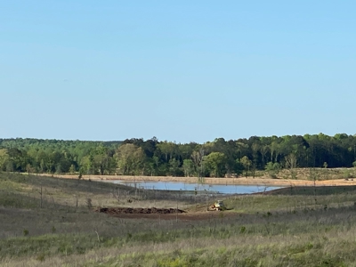 Land For Sale In Tn, 26 Acres+/-, Open Land - image 2