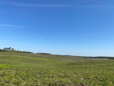 Land For Sale In Tn, 26 Acres+/-, Open Land - image 39