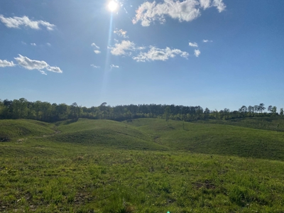 Land For Sale In Tn, 26 Acres+/-, Open Land - image 19
