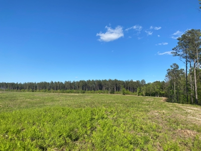 Land For Sale In Tn, 26 Acres+/-, Open Land - image 1