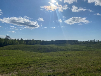 Land For Sale In Tn, 26 Acres+/-, Open Land - image 3