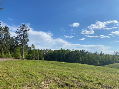 Land For Sale In Tn, 26 Acres+/-, Open Land - image 5