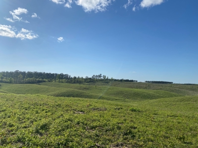 Land For Sale In Tn, 26 Acres+/-, Open Land - image 11
