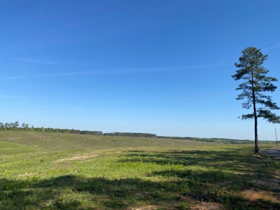 Land For Sale In Tn, 26 Acres+/-, Open Land - image 23