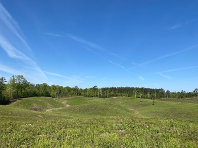 Land For Sale In Tn, 26 Acres+/-, Open Land - image 35