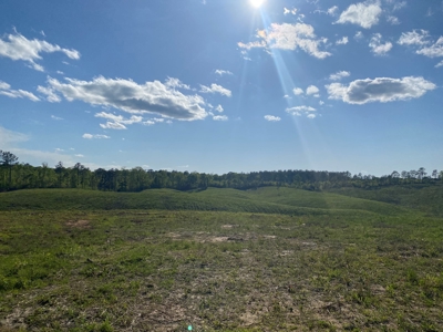 Land For Sale In Tn, 26 Acres+/-, Open Land - image 4