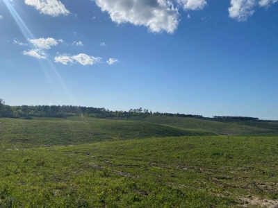 Land For Sale In Tn, 26 Acres+/-, Open Land - image 10